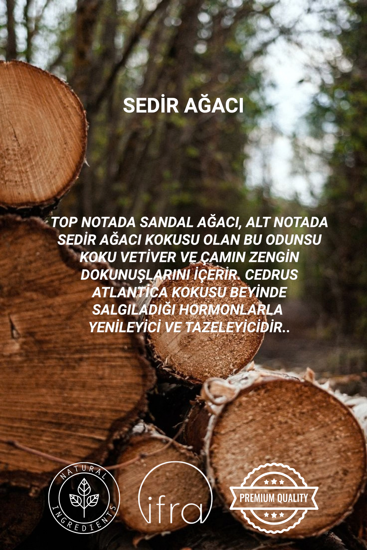 Sedir Ağacı Çubuklu Oda Kokusu | Cedar Wood Diffuser