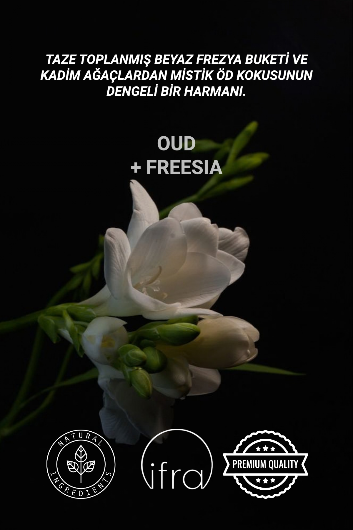 Öd + Frezya Çubuklu Oda Kokusu | Oud + Fressia Diffuser