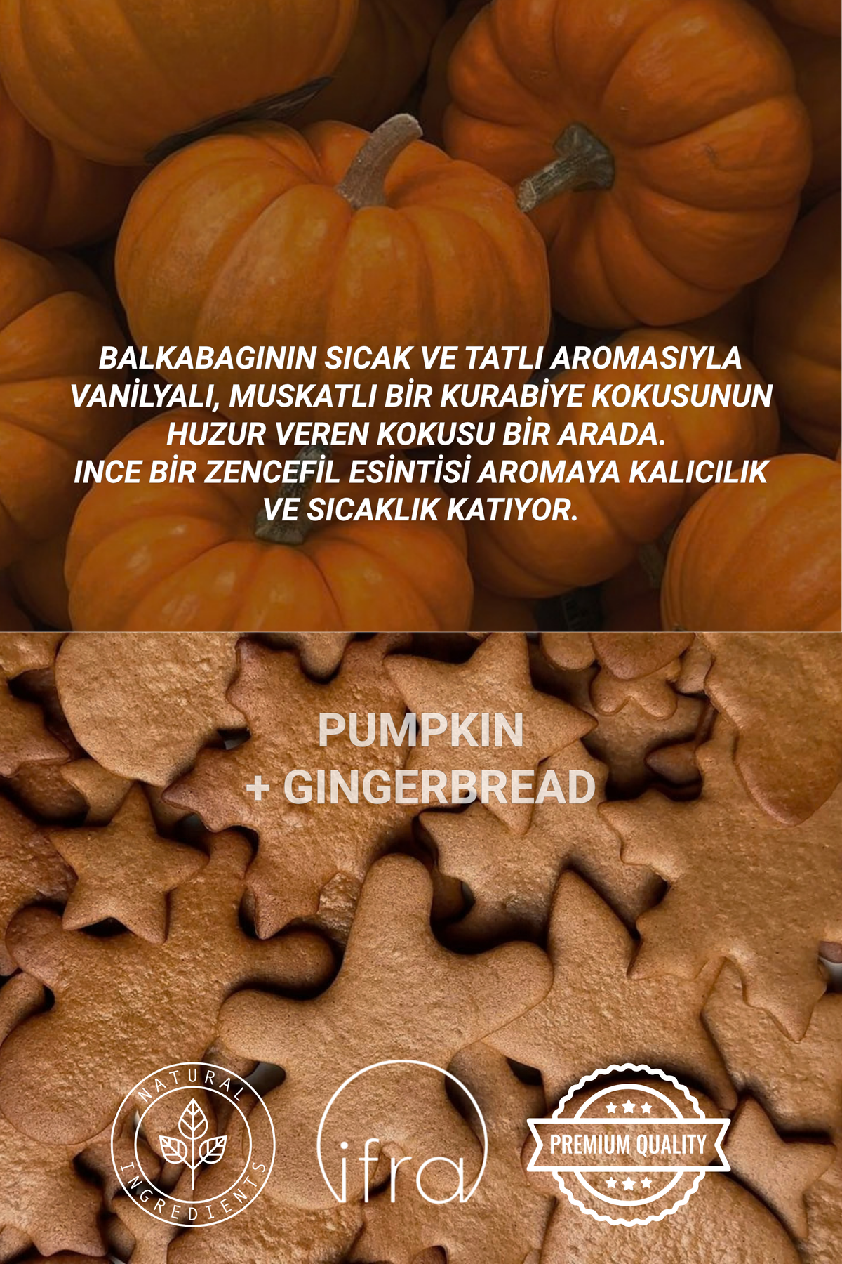 Pumpkin Gingerbread | Limited Edition Oda Kokusu