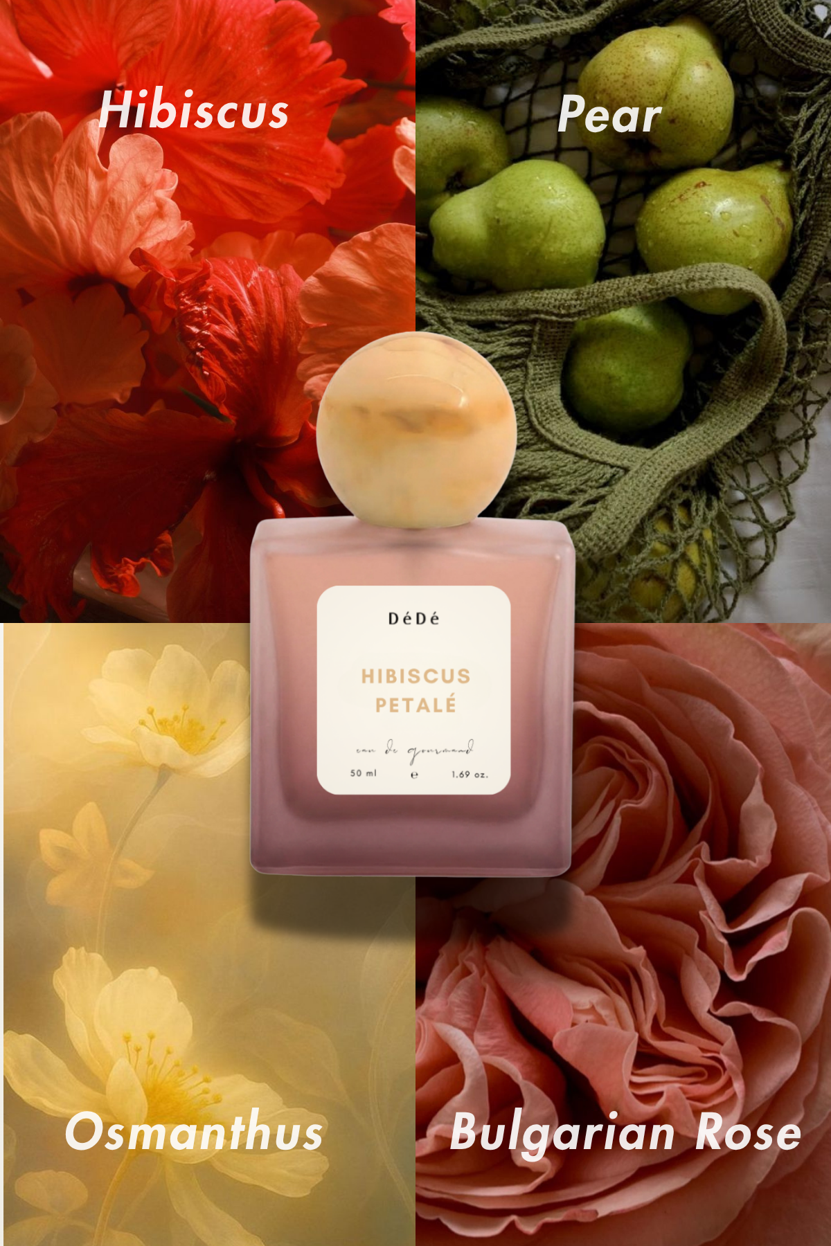 Hibiscus Petalé | EDP