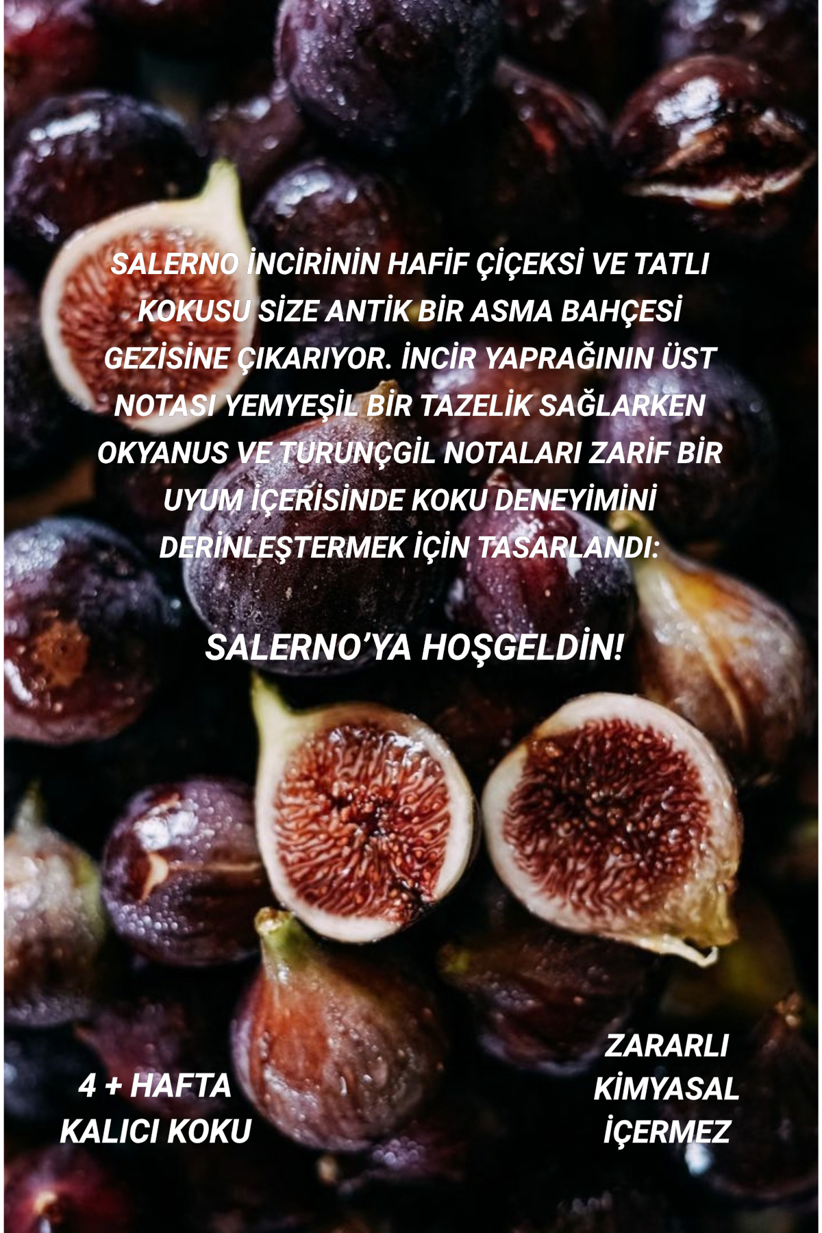 İncir Çubuklu Oda Kokusu | Heart of Fig Diffuser