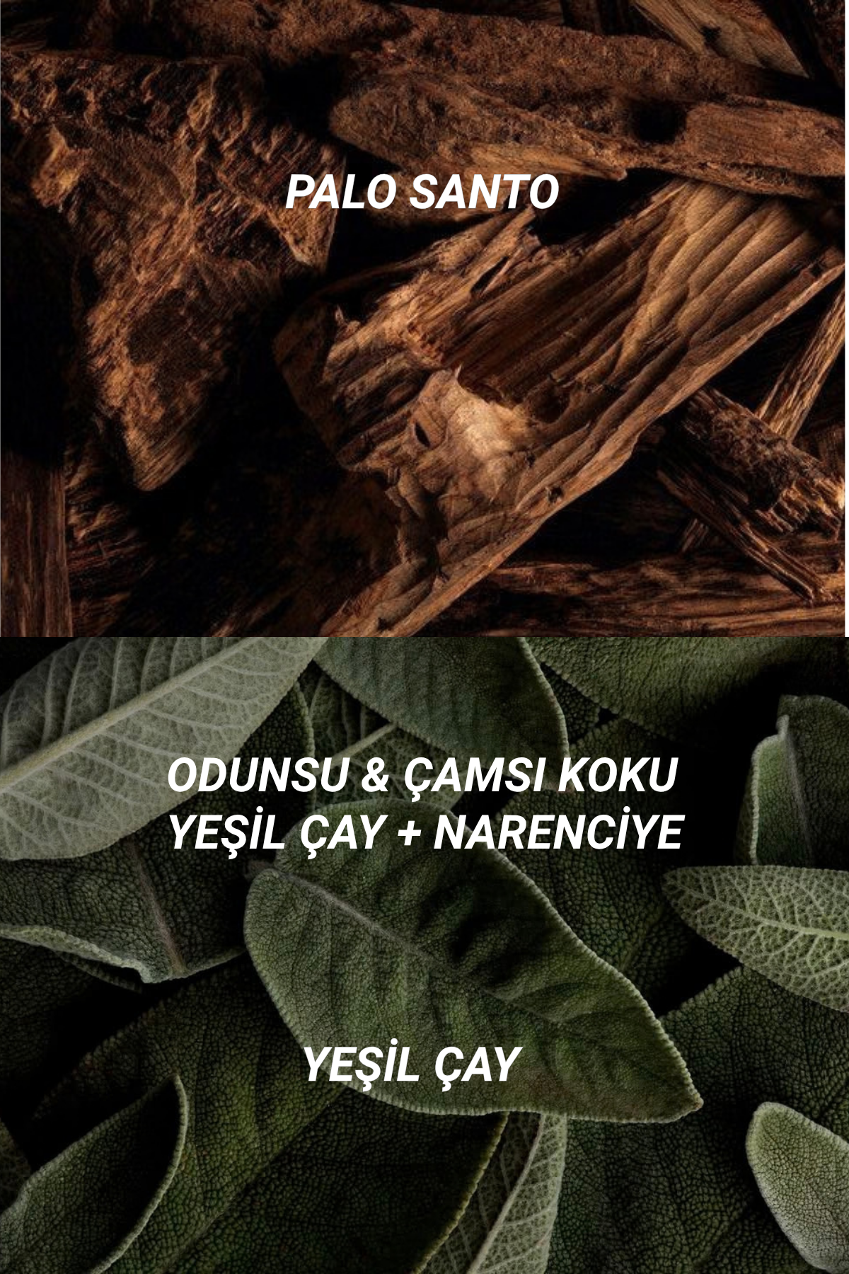 Palo Santo Çubuklu Oda Kokusu | Palo Santo Diffuser