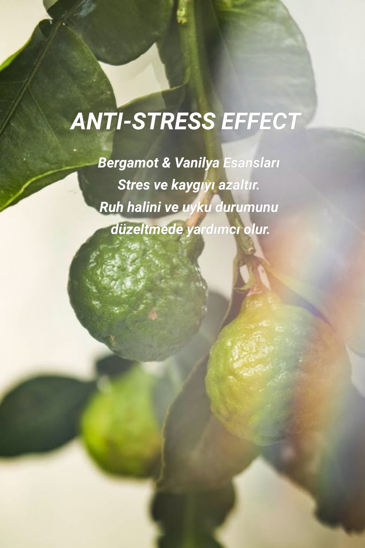 Vanilya + Bergamot Çubuklu Oda Kokusu | Self Love Diffuser
