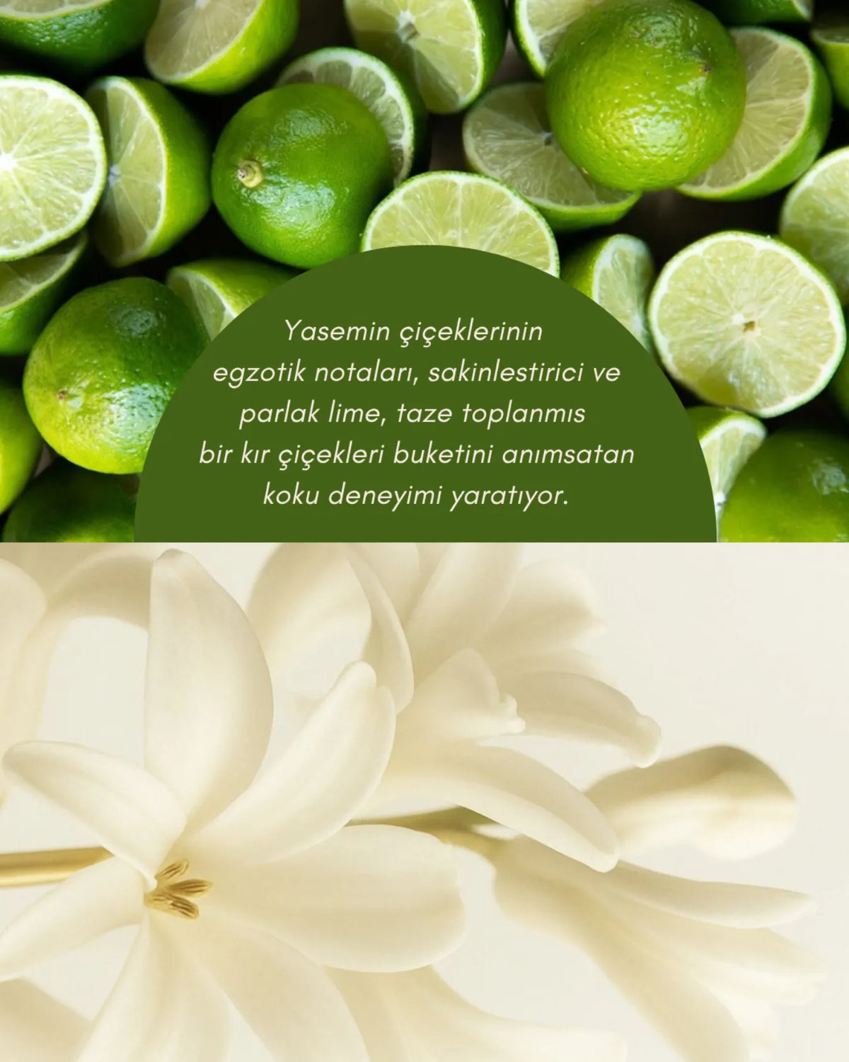 Lime + Jasmine -  Kokulu Soya Mum | Fine & Artisanal Candle