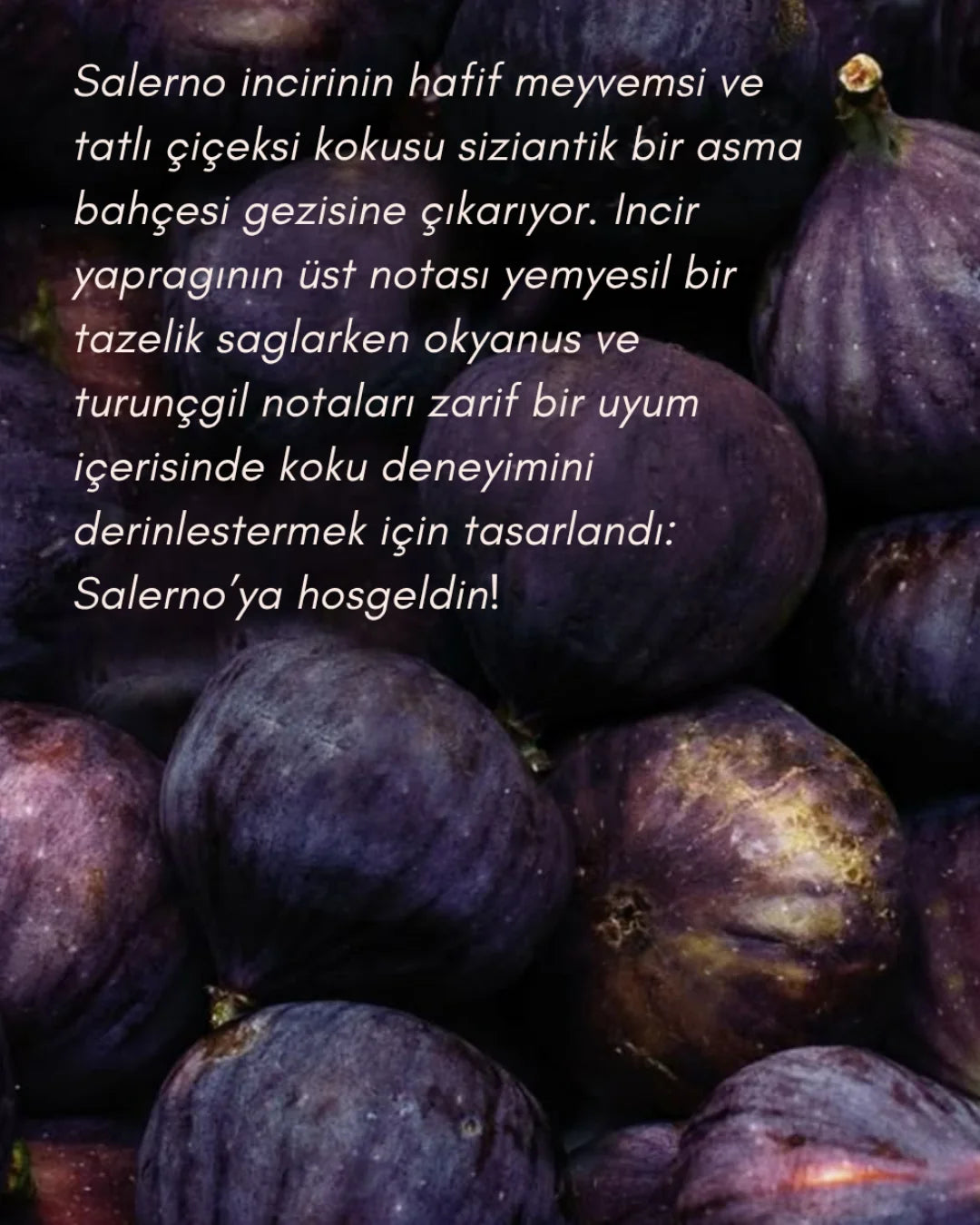 Heart of Fig - İncir Kokulu Organik Soya Mumu | Fine & Artisanal Candle