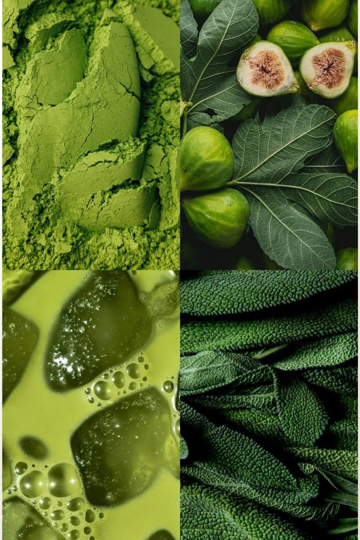 Vanilya & Matcha | İkili Parfüm Seti